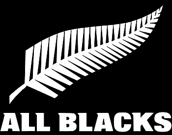 B&I Lions get full monty in NZ