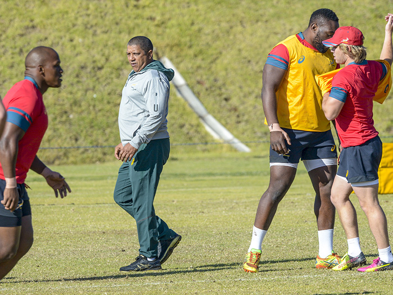 Here come the 'second chance' Boks