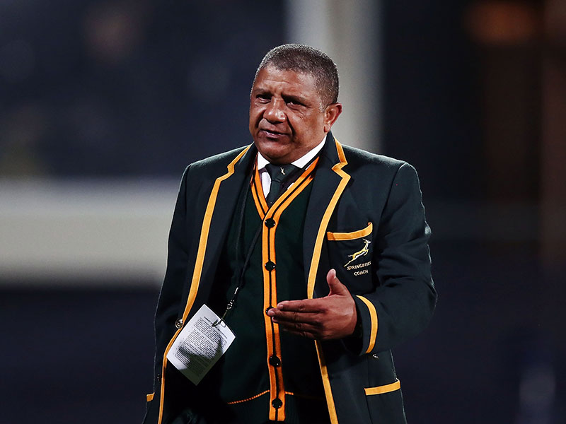 Can Boks outmuscle All Blacks?