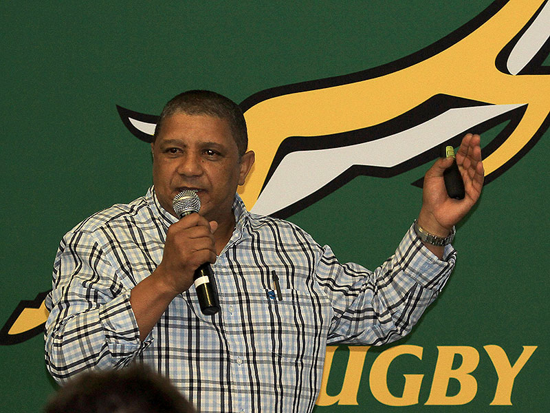 No 'egos' in Allister's new Bok team