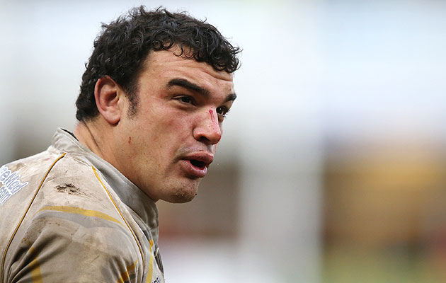 Creevy sees Pumas reaching WC heights