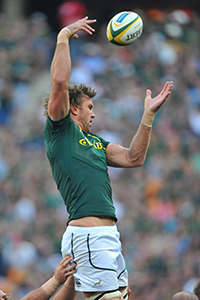 Fourie back in Bok mix