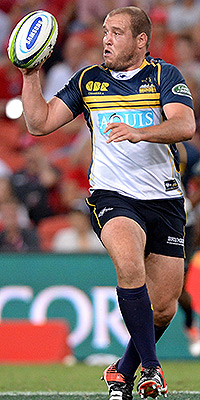 Wallabies keep a stalwart