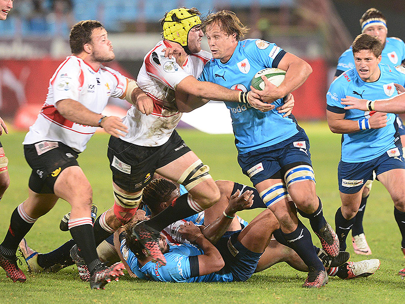 Bulls tackle Lions into submission