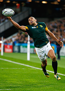 Player ratings: No spring in the Bok