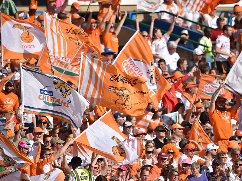 Cheetahs keep their champions for two more years