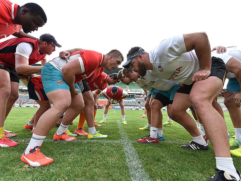 Cheetahs being equipped to entertain