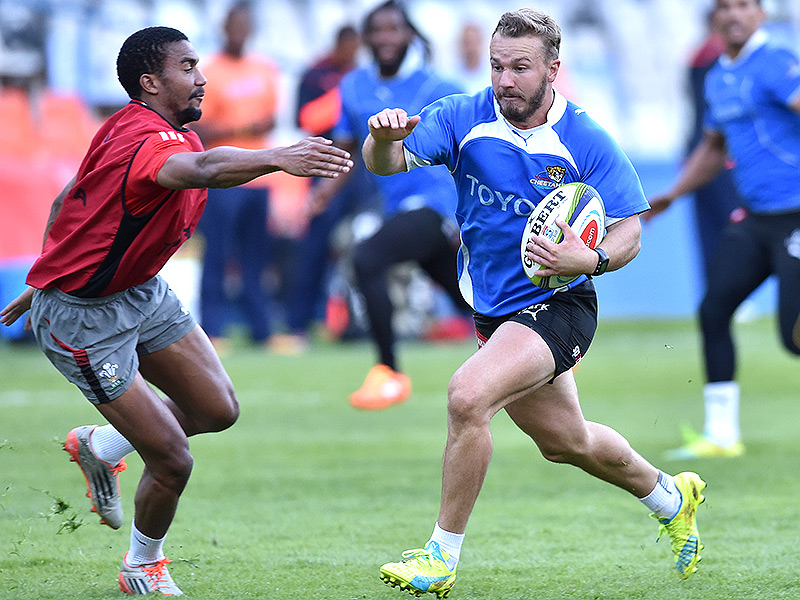 Cheetahs to stop 'building' and start winning