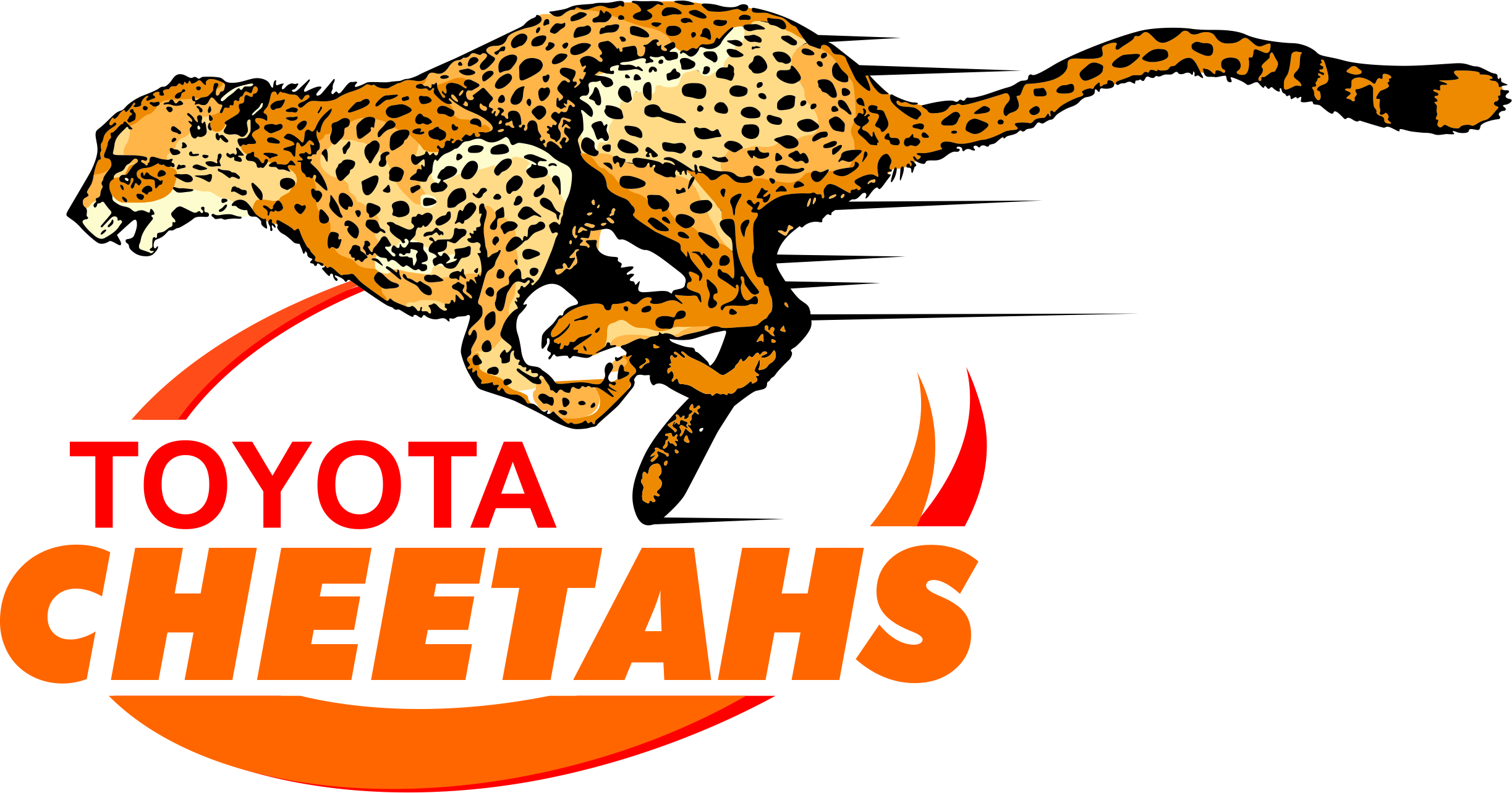 New era for Cheetahs