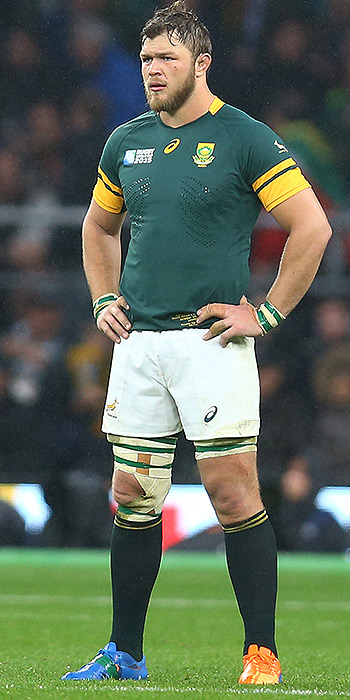 Bok jersey: A tale of two careers