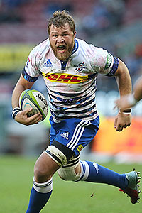 Stormers rely on 'area leaders'