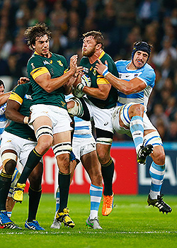 Player ratings: No spring in the Bok