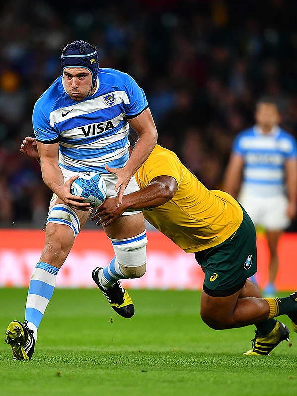 Los Pumas lick their wounds
