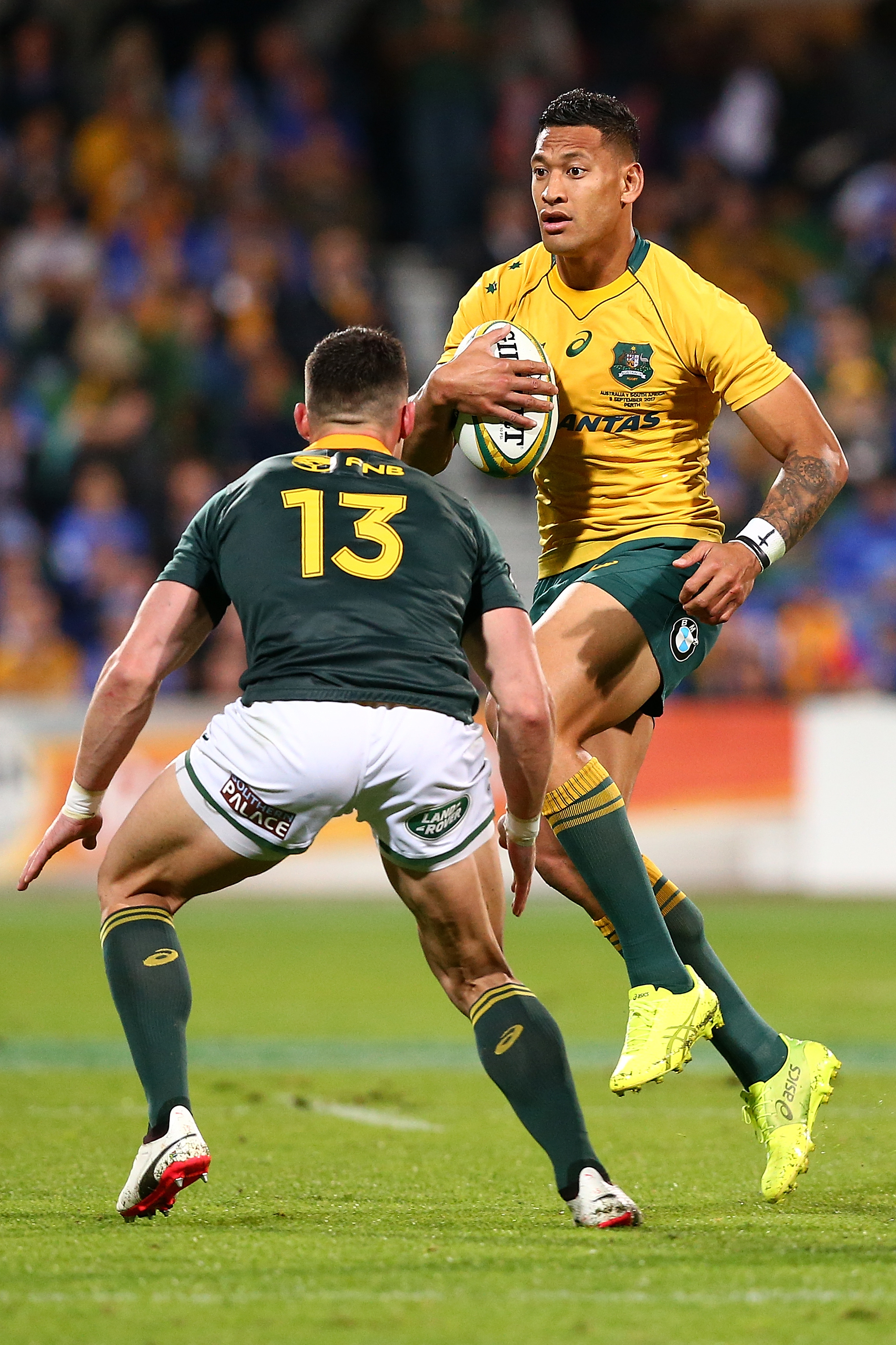 Wallabies and Boks in disappointing draw