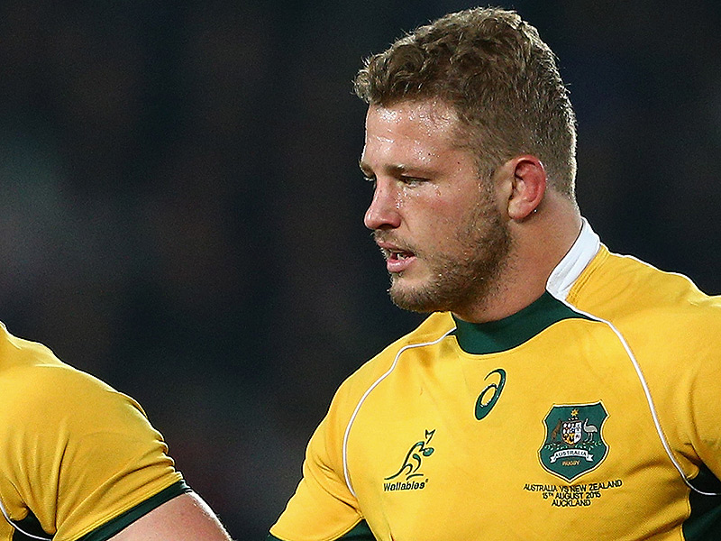 Cheika puts bounce into Wallabies step