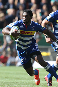 Kolisi loving the hard road