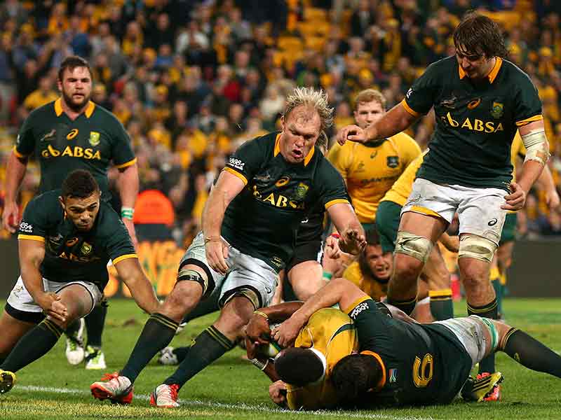 Cheika puts bounce into Wallabies step