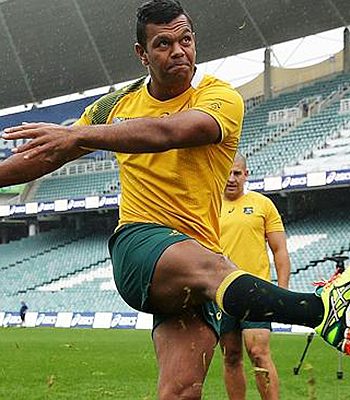 Wallabies' fans hopping mad