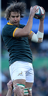 More injuries for battered Boks