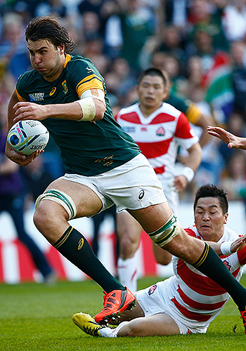 Meyer apologises to South Africa