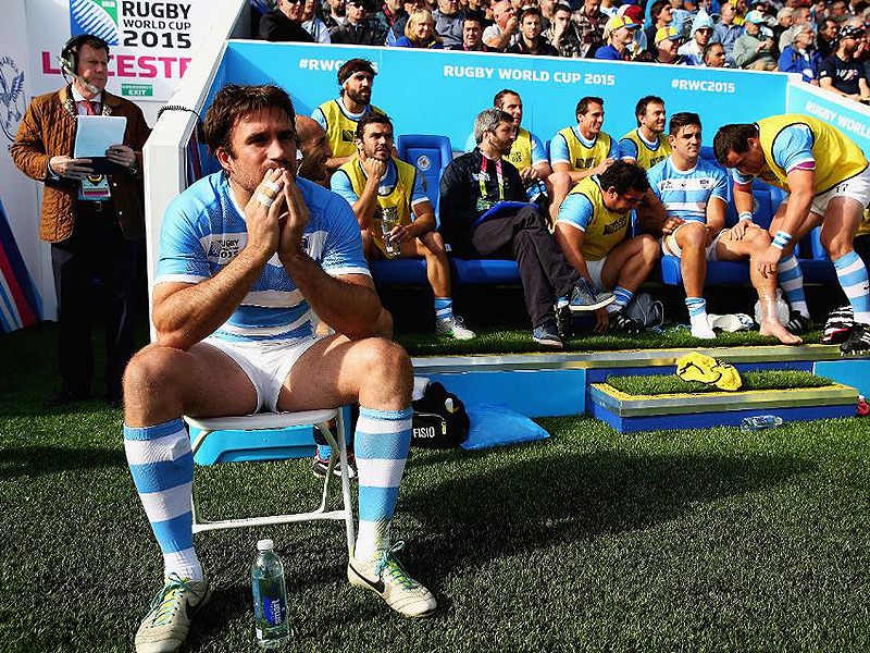Creevy sees Pumas reaching WC heights