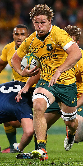Wallabies on the rise