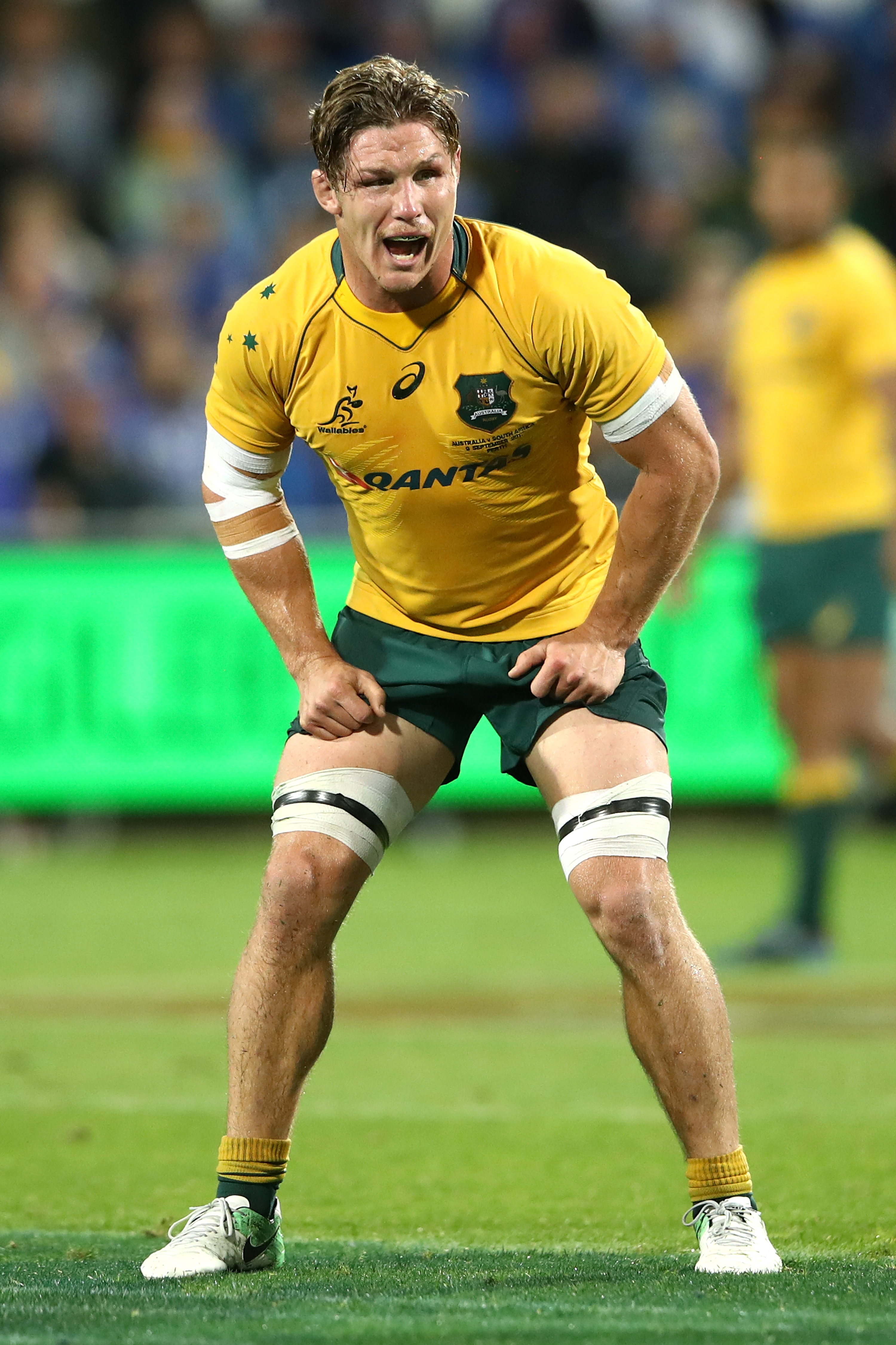 Wallabies and Boks in disappointing draw