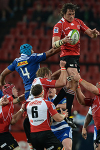 Stormers fight back to sink Lions