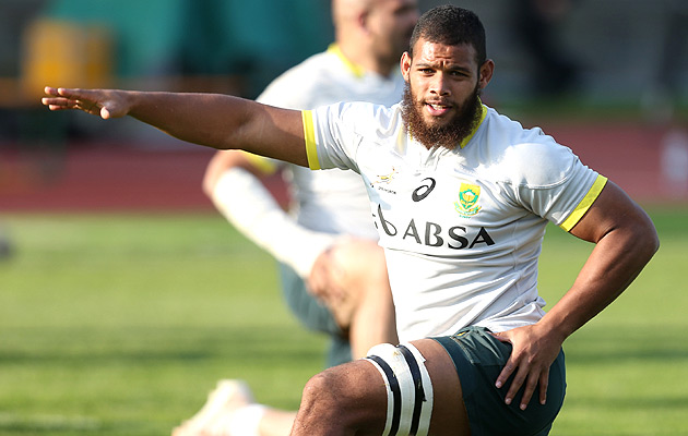 Bok camp hits Stormers hard