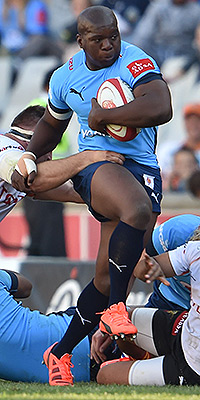 Bulls run rampant in Bloem