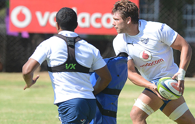 Botha blow for Bulls
