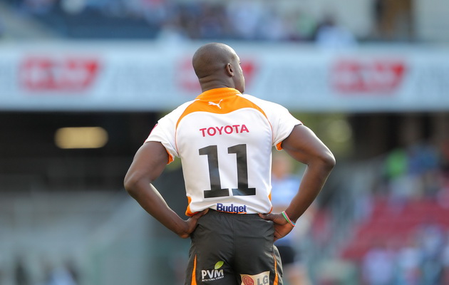 No Lood in Cheetahs team