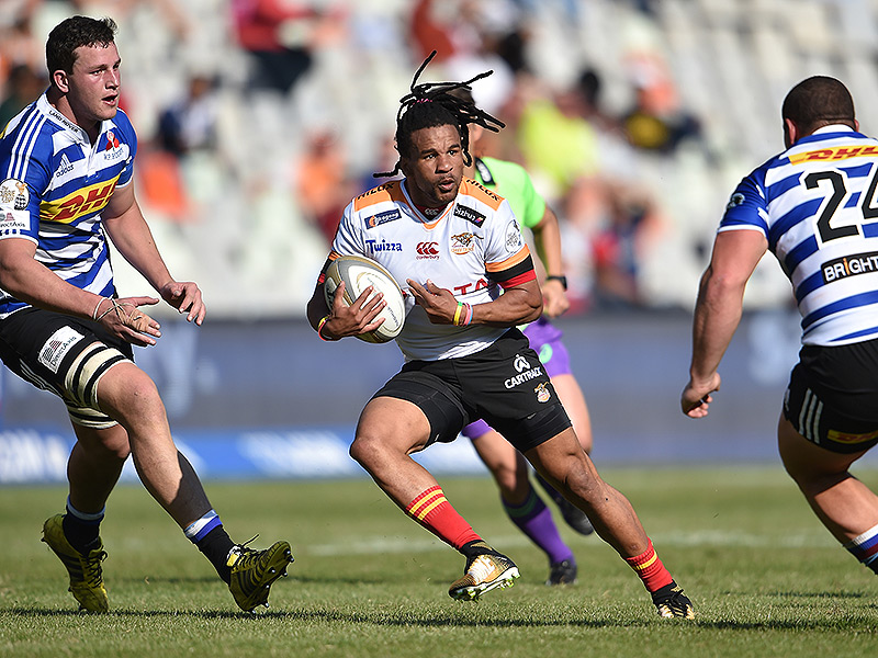 Dobson: Cheetahs played with more cohesion