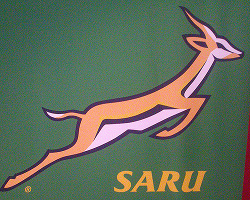 SARU fighting more fires on Roux front