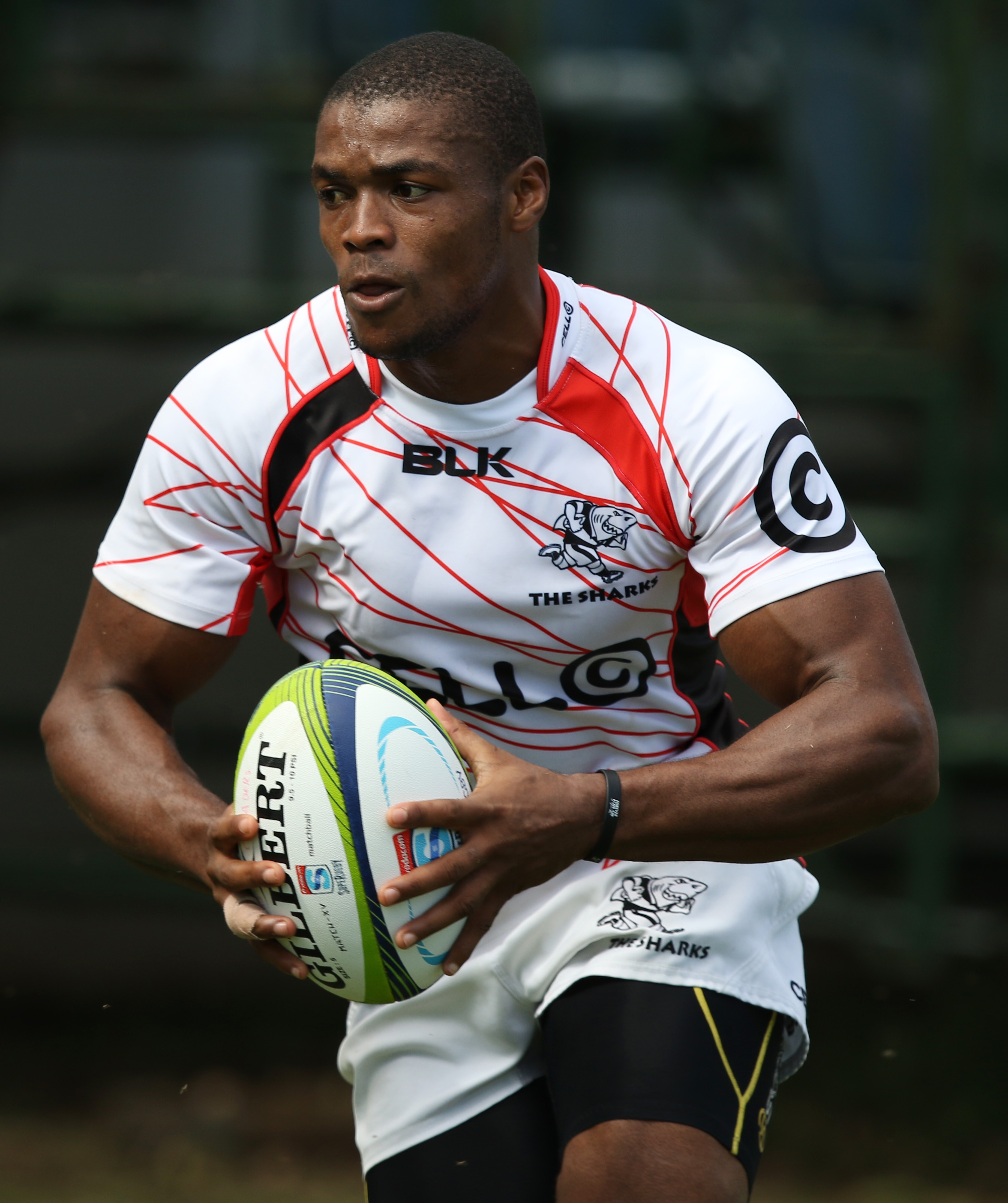 Sharks prepare for Bullish attack