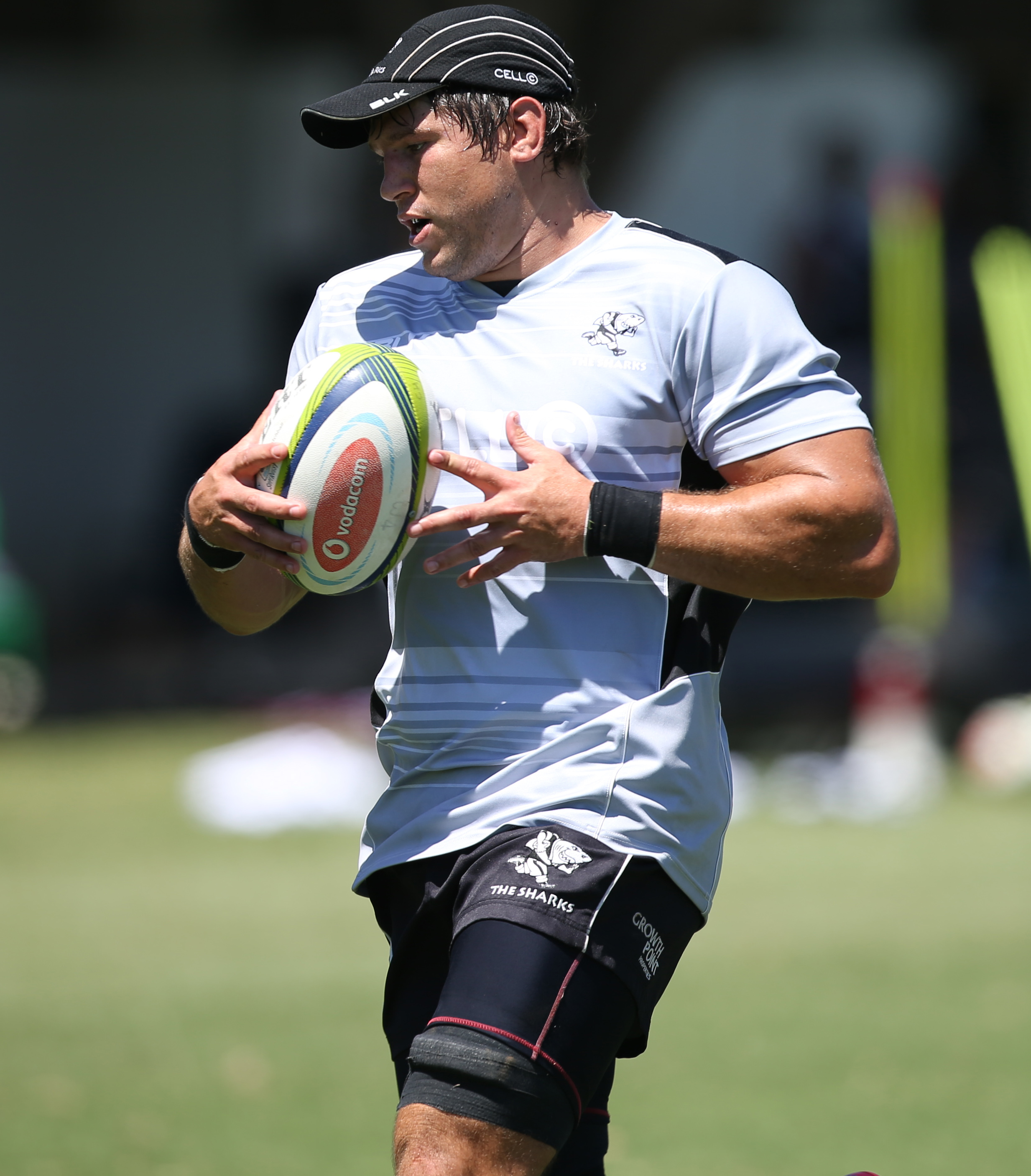 Sharks' Boks back in town