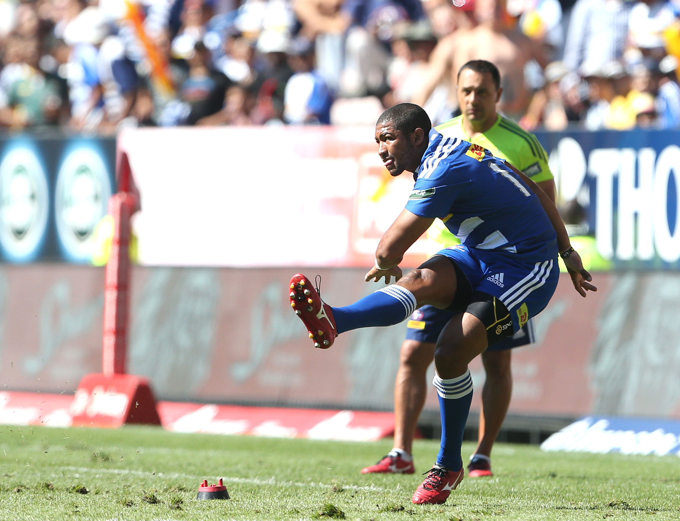 Brumbies target Stormers' line-out