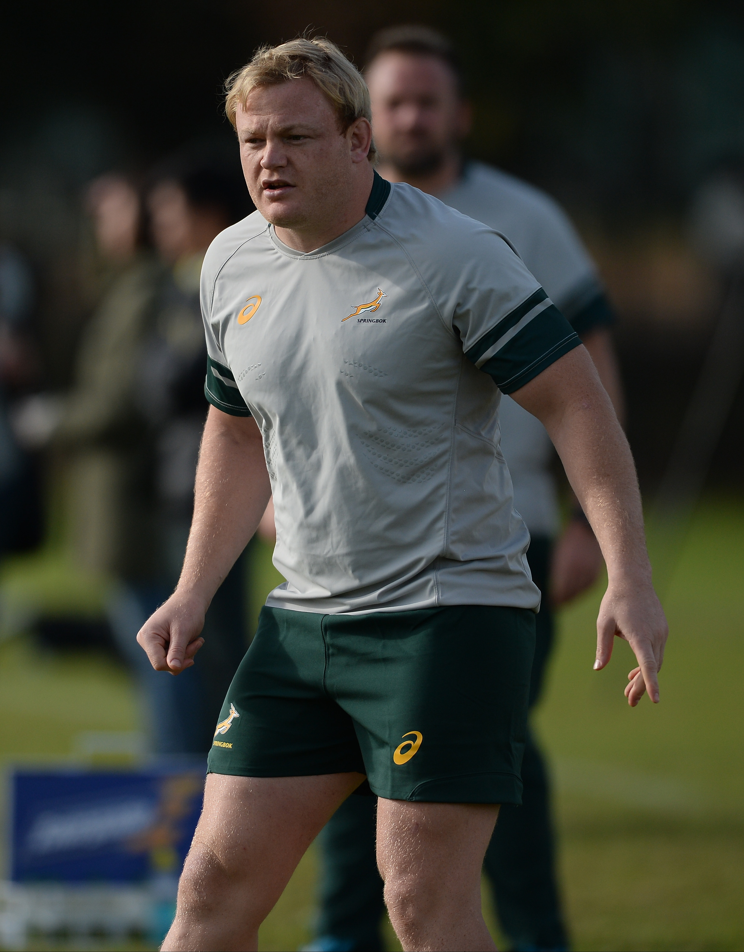 Boks not focussing on Stander