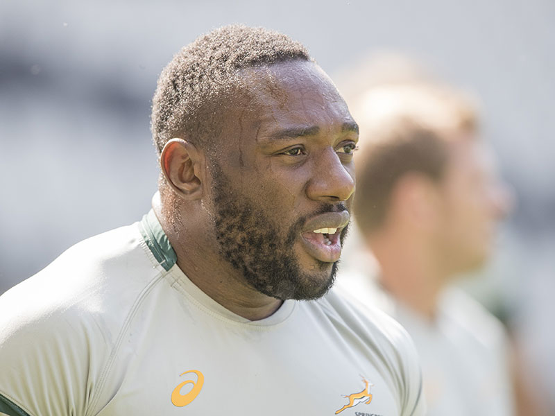 Can Boks outmuscle All Blacks?