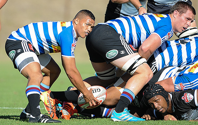 Preview: Vodacom Cup Final