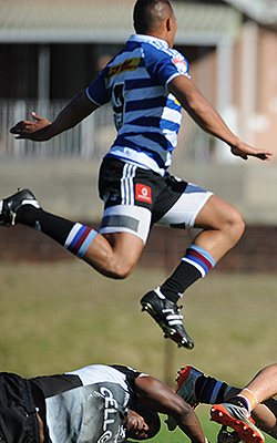 Preview: Vodacom Cup Final