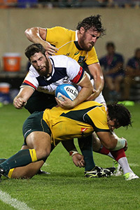 Wallabies down spirited Eagles
