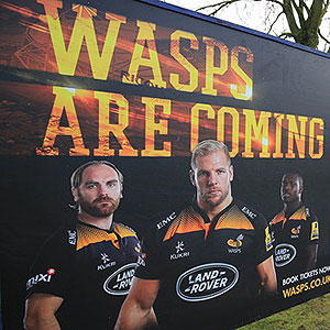 Wasps get stock exchange sting