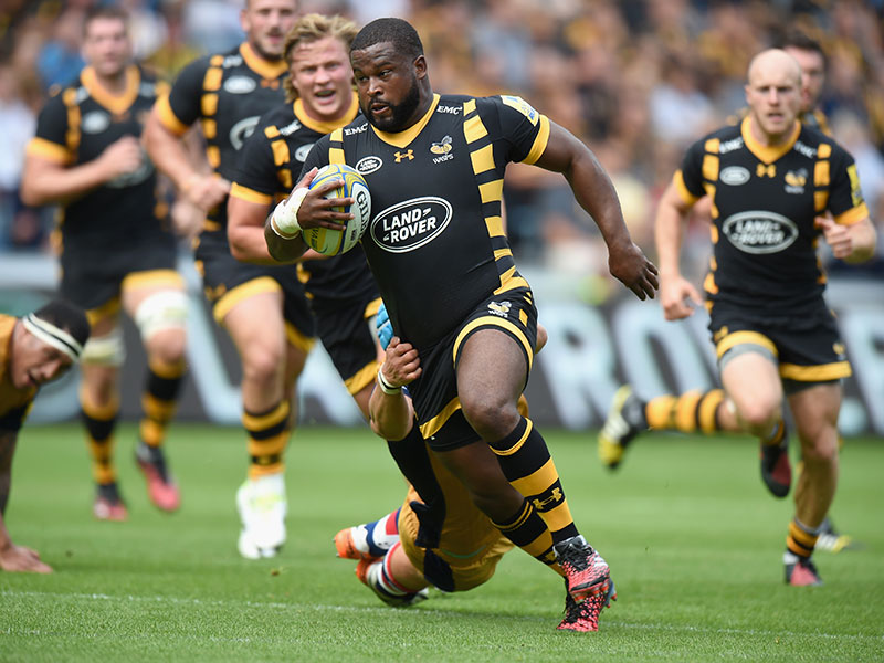 Young wants more from Wasps