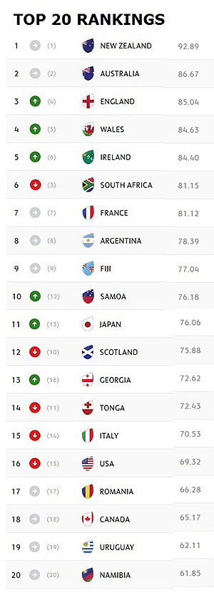 Springboks sink to sixth