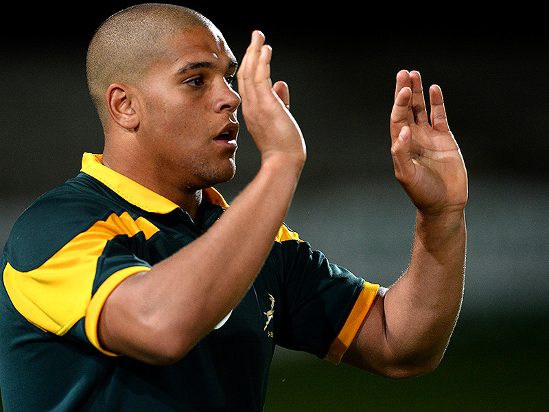 Junior Boks bring in experience